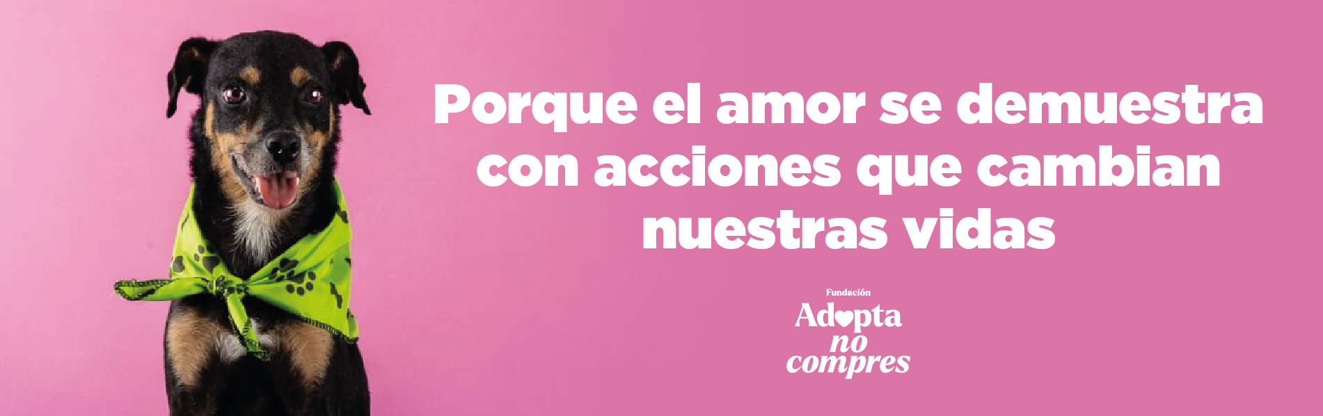 Adopta no compres - Inicio Banner 1