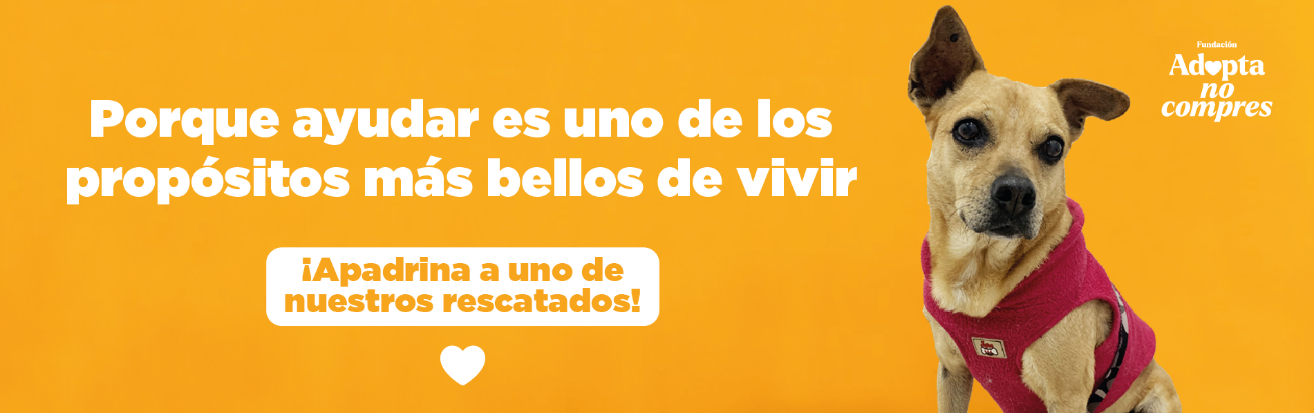 adopt ano compres